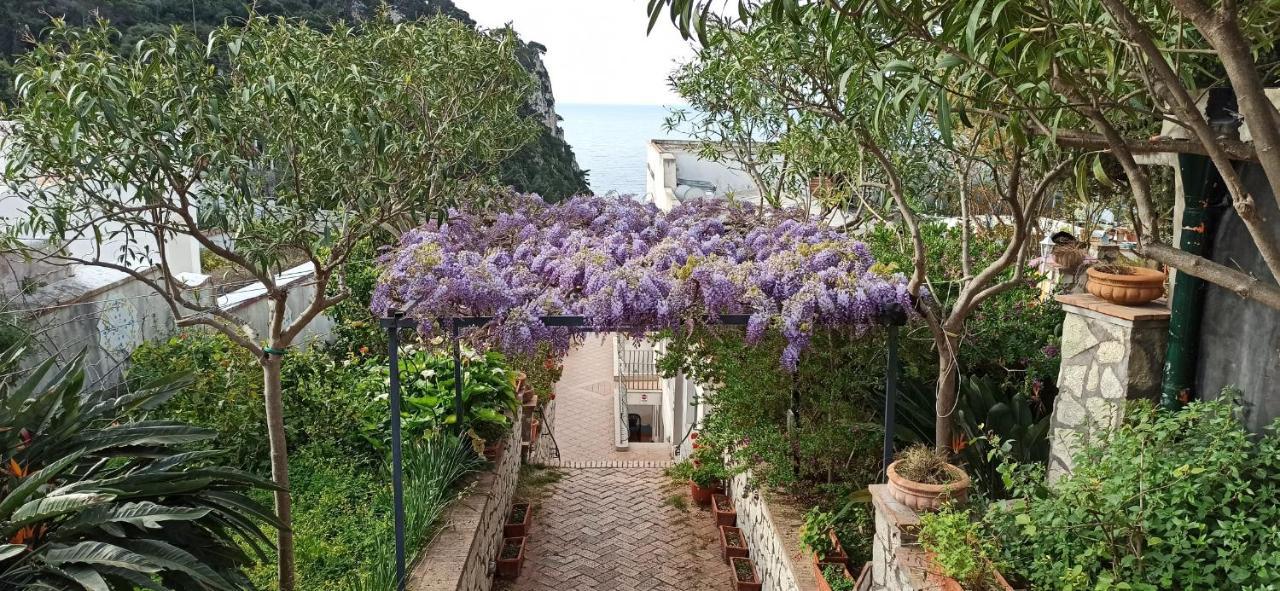 Hotel 4 Stagioni Capri Bagian luar foto