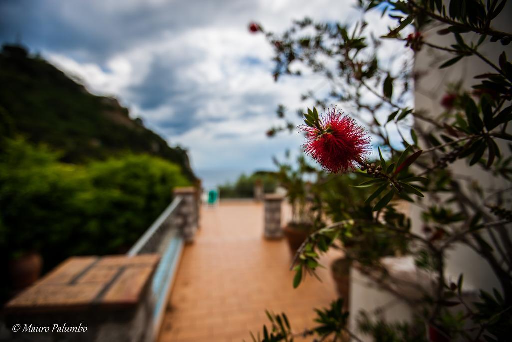Hotel 4 Stagioni Capri Bagian luar foto